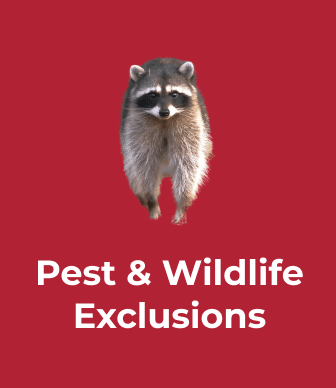 Pest & Wildlife Exclusions