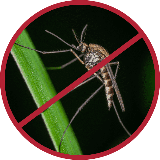 How can I Avoid Mosquitoes?