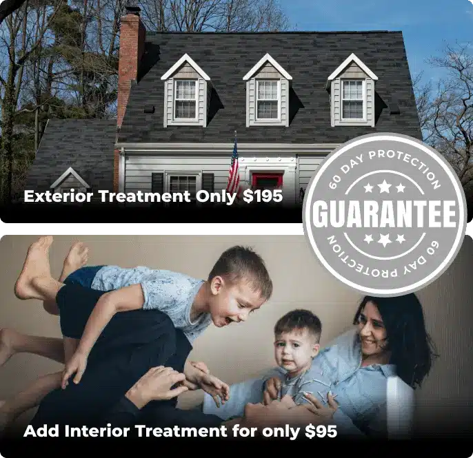 1111exterior treatment only